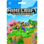 Minecraft: Java & Bedrock Edition Global
