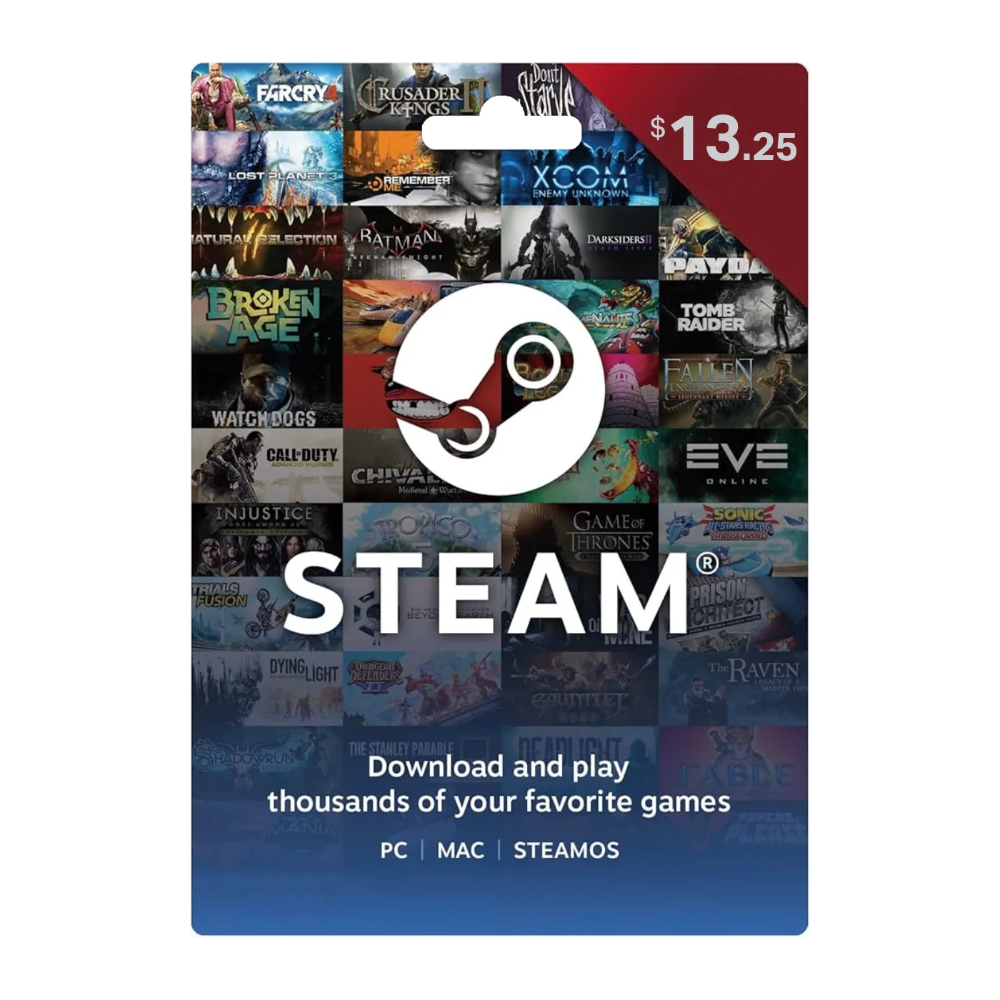 steam gift card 13
